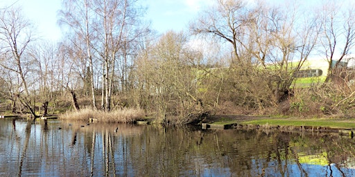 Wildlife Wellbeing Walk, Beeston Sidings Nature Reserve | Beeston Sidings (Dunkirk Pond)