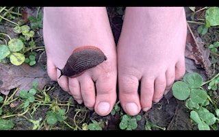 The Sick Garden - performance by Toni Kritzer | Zone2Source