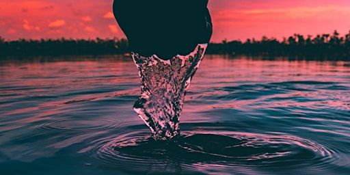 Shamanic Healing Meditation | ReDefine Wellness
