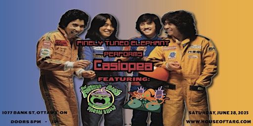 THE MUSIC OF CASIOPEA performed by FINELY TUNED ELEPHANT | House of TARG