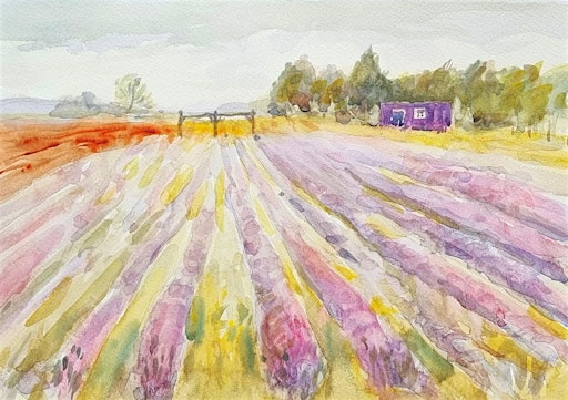 Watercolour Painting at Cambridgeshire Lavender | Cambridgeshire Lavender