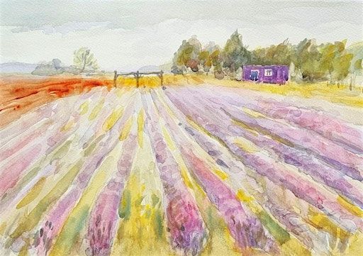 Watercolour Painting at Cambridgeshire Lavender | Cambridgeshire Lavender