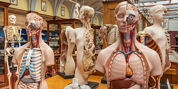 Anatomical Museum, Public Open Day, Saturday 20th September | Anatomical Museum, University of Edinburgh