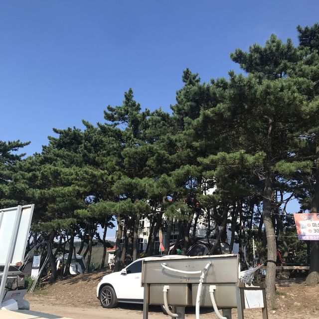 [충청남도] 가을 차박은 어디로? 샛별해수욕장✨