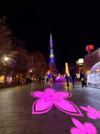 札幌　ホワイトイルミネーション[大通１丁目〜３丁目会場編]