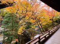 京都[紅葉めぐり]  永観堂(禅林寺)  圧巻の堂内編