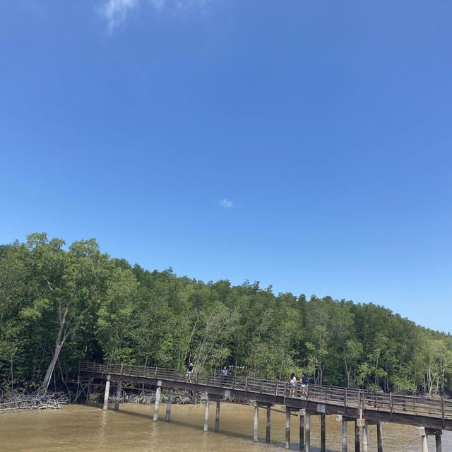 A Day in Kukup Island National Park