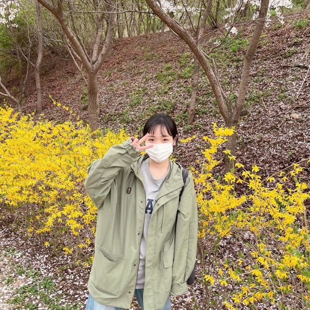 봄 되면 하늘공원 데이트 필수!