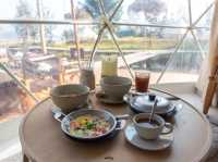 Patongo Camping and Organic Farm