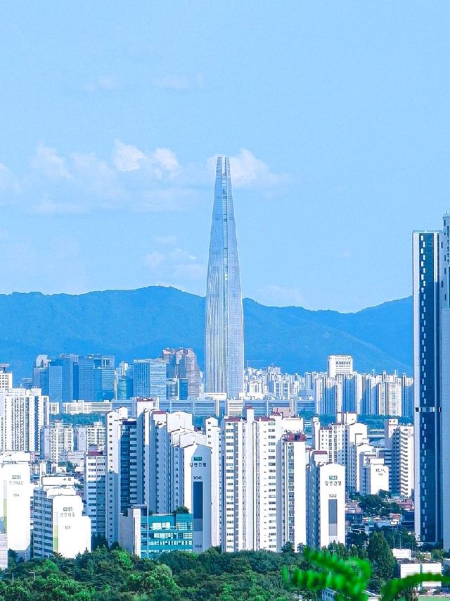 응봉산, 서울을 한가득 담기