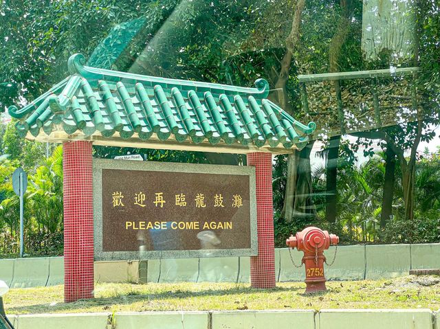 世界之大 中華白海豚