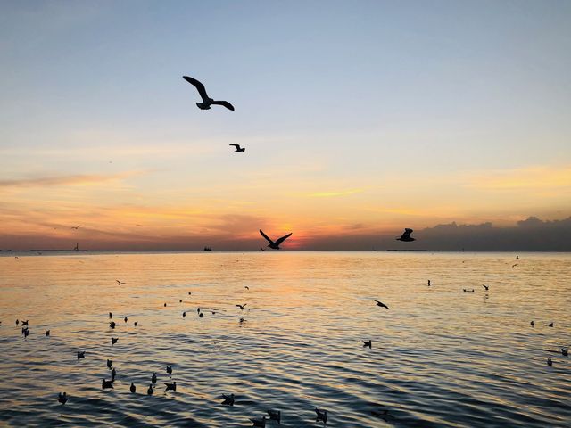 บางปู