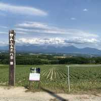 【北海道】北海道ならではの絶景巡り