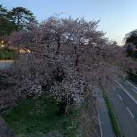 金沢城