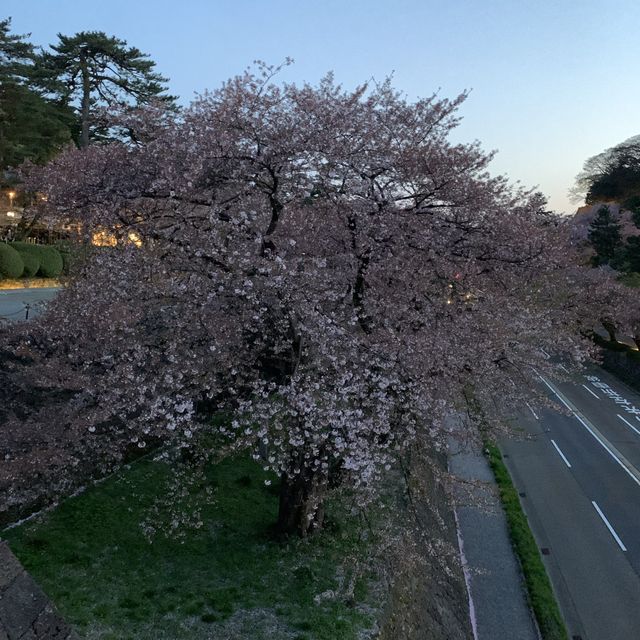 金沢城