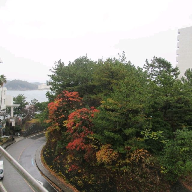 温泉之旅♨️