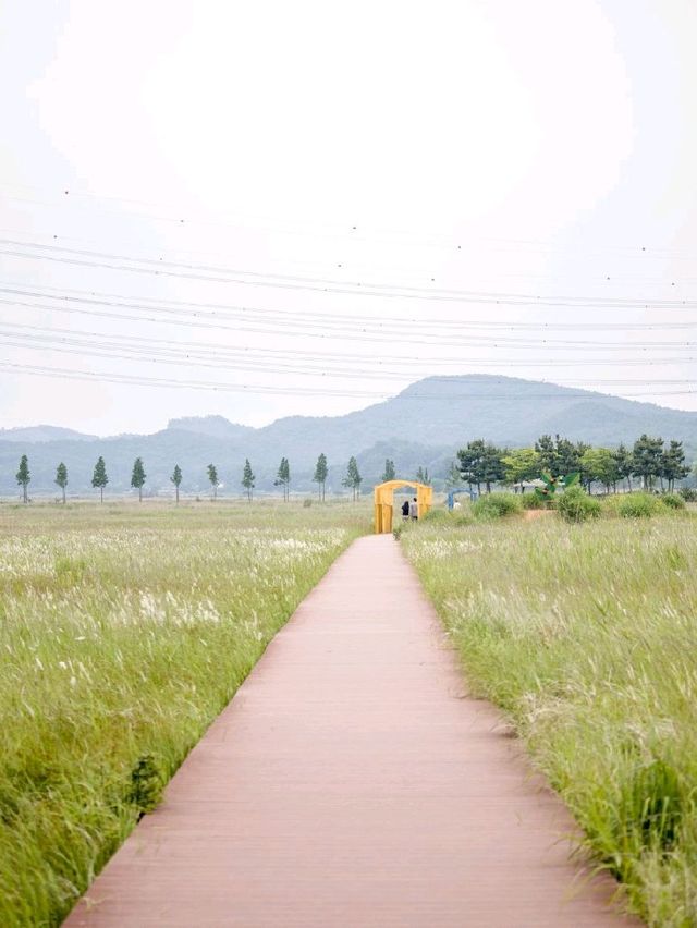 대부도 가볼만한 곳, 바다향기 테마파크