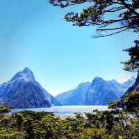 South Island Beauty Of New Zealand