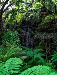 คาเฟ่โอเอซิสกลางเมือง🌿🌳