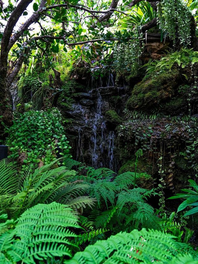 คาเฟ่โอเอซิสกลางเมือง🌿🌳