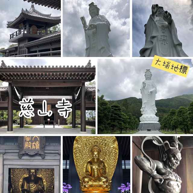 大埔地標慈山寺🙏🏻放假好去處‼️了解佛教之地
