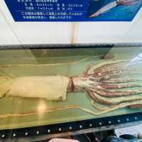 AQUARIUM PLACE 