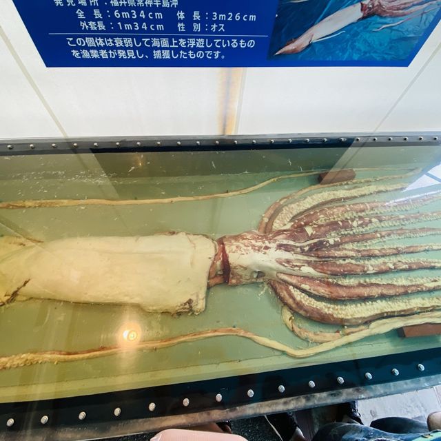 AQUARIUM PLACE 