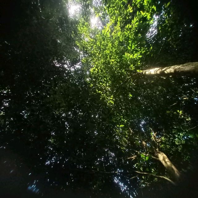 金宝山