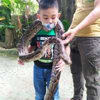 Davao Crocodile Park and Zoo 🐾