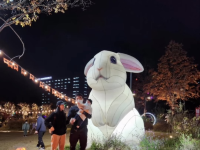 이천 야간 별빛우주정원