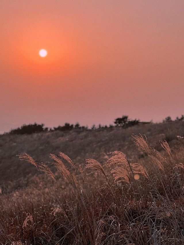 불타는 노을이 아름다운 제주 금오름