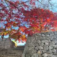 【岡山】城壁に美しい紅葉