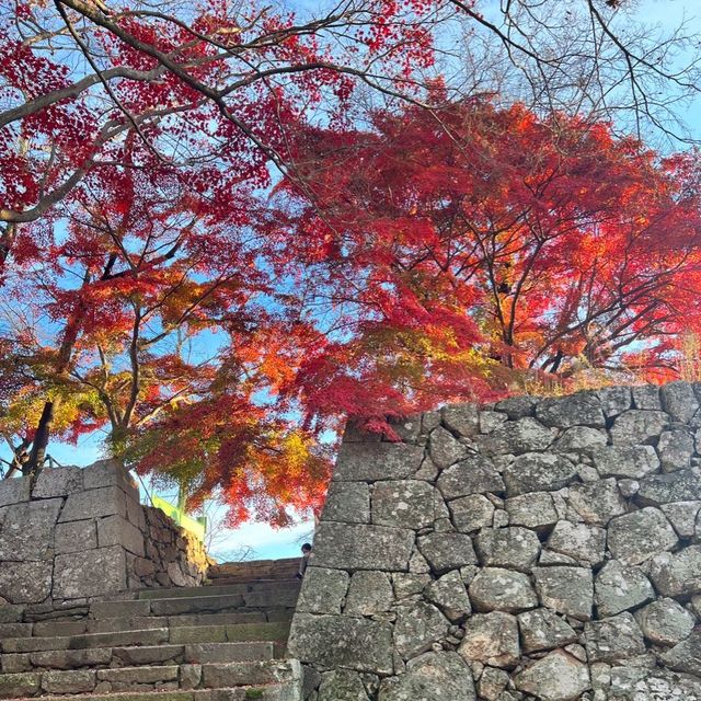 【岡山】城壁に美しい紅葉