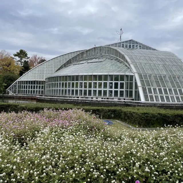 京都府立植物園の温室