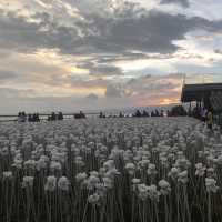 10,000 Roses Cafe in Cordova, Cebu