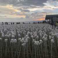10,000 Roses Cafe in Cordova, Cebu