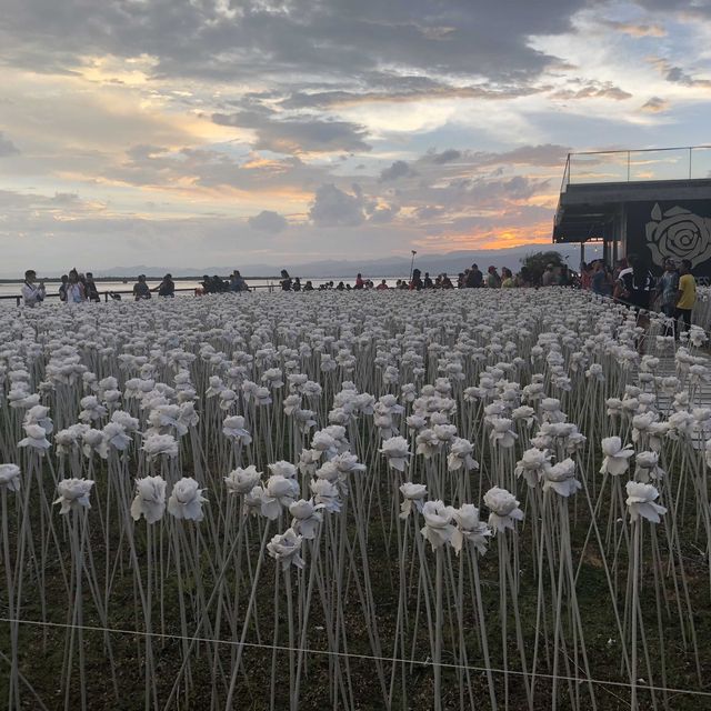 10,000 Roses Cafe in Cordova, Cebu