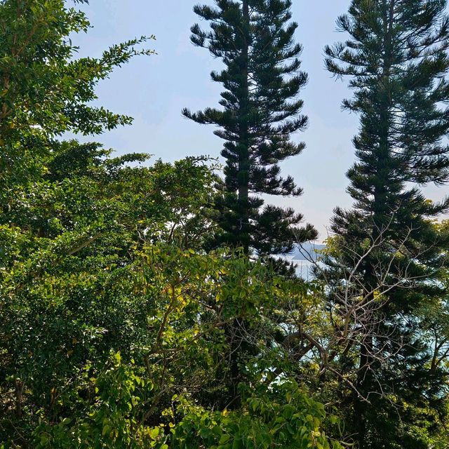 香港島薄扶林沙宣道，遠眺南太平洋！讚嘆美景！