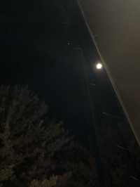 가평에서 글램핑하고 싶다면? 가평 크리스월드 글램핑🏕