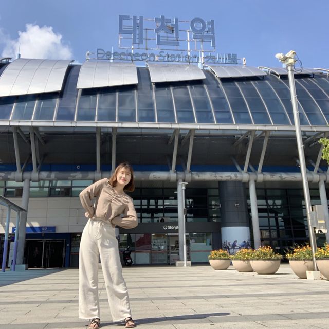 대천 해수욕장 기차여행