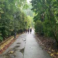 Botanic Garden Singapore 