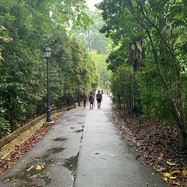 Botanic Garden Singapore 