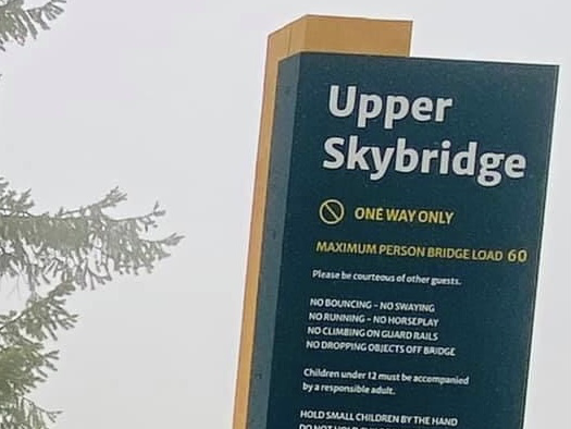 Golden Skybridge