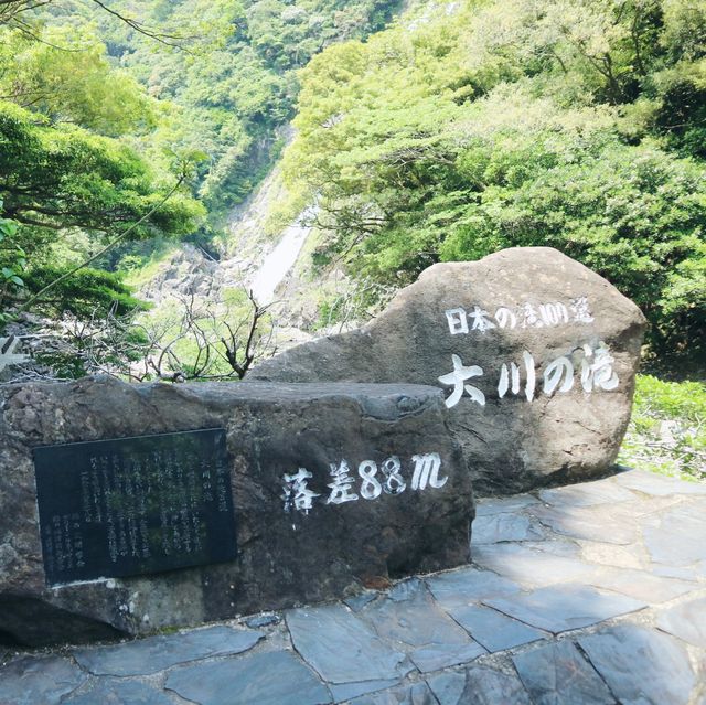屋久島旅行❗️日本の滝100選