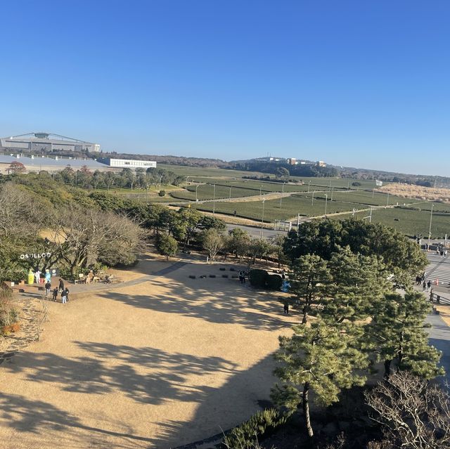 제주 오설록 티 뮤지엄 / 카페 와 녹차밭 