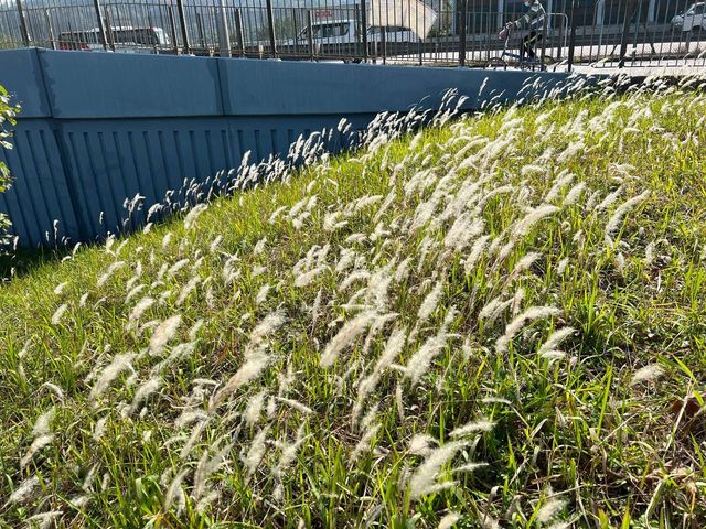 吐露港花園 近距離望吐露港
