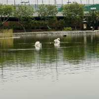 親親小動物 錦繡花園