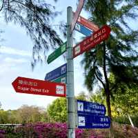 ［維多利亞公園］- 賞花好時機🌸🌺💐