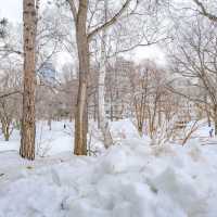 冬の北海道大学のクラーク像