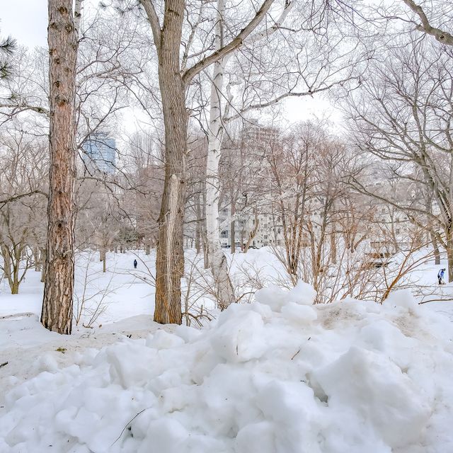 冬の北海道大学のクラーク像